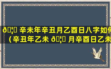 🦁 辛未年辛丑月乙酉日八字如何（辛丑年乙未 🦟 月辛酉日乙未时）